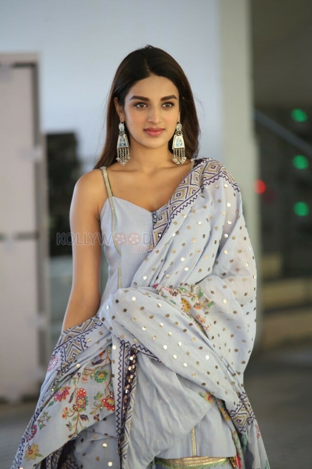 Savyasachi Heroine Nidhhi Agerwal Photos