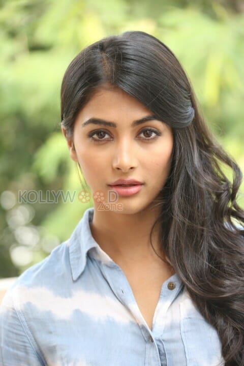 Sexy Actress Model Pooja Hegde Pictures