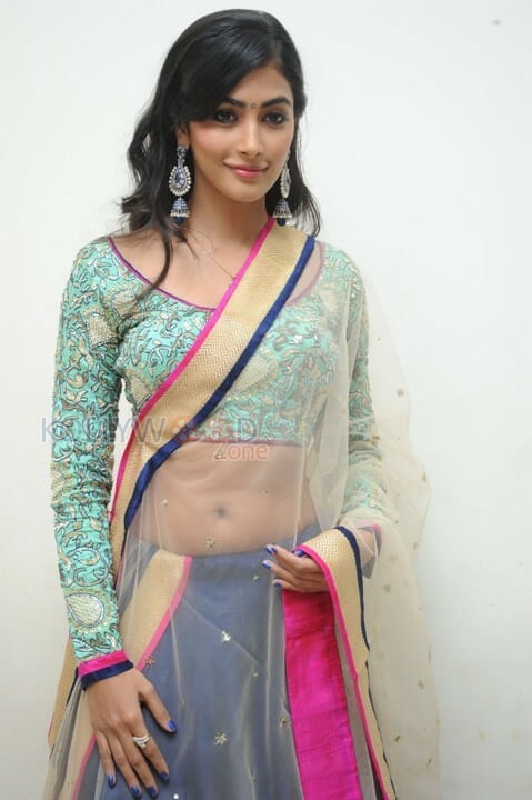 Sexy Actress Pooja Hegde Pictures