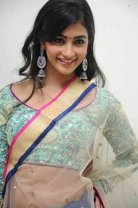 Sexy Actress Pooja Hegde Pictures
