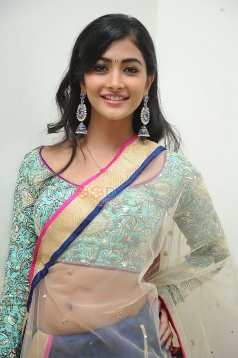Sexy Actress Pooja Hegde Pictures