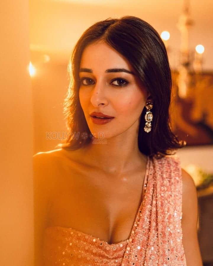 Sexy Ananya Panday in a Sequin Saree with a Sleeveless Blouse Pictures 04