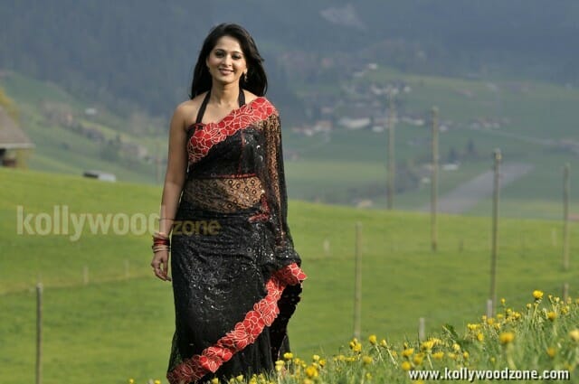 Sexy Anushka Saree Photos