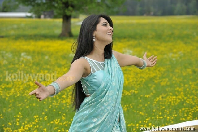 Sexy Anushka Saree Photos