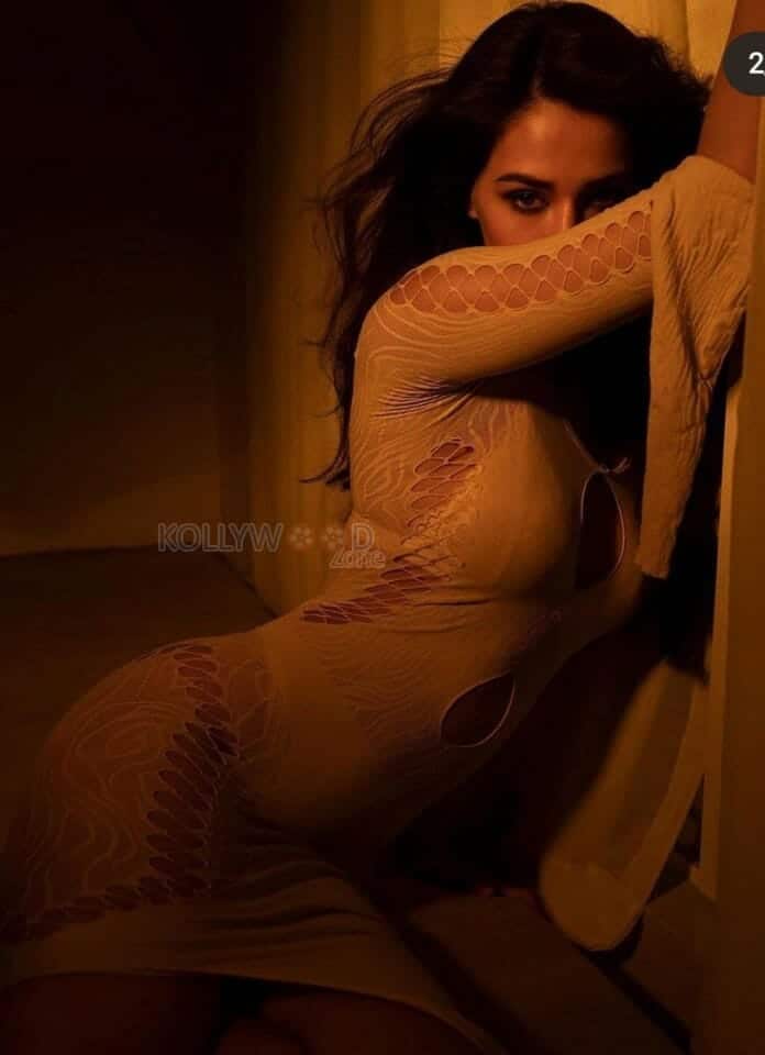 Sexy Babe Disha Patani Hot Pictures 01