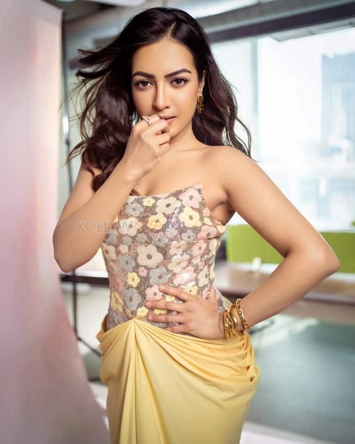 Sexy Catherine Tresa in a Floral Embroidered Corset Top with a Yellow Draped Skirt at Phani Movie Press Meet Stills 01
