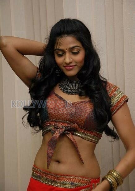 Sexy Dhansika Stills
