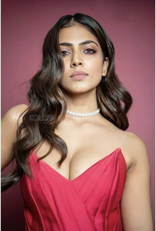 Sexy Hot Malavika Mohanan Photos 19