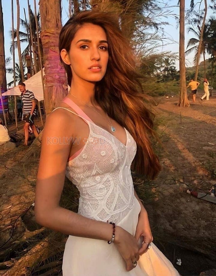 Sexy Hot Petite Babe Disha Patani Pictures 01