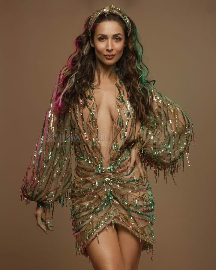 Sexy Indian Actress and Model Malaika Arora Pictures 02