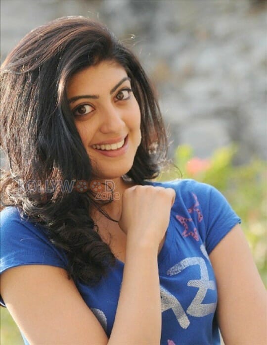 Sexy Kannada Actress Pranitha Photos