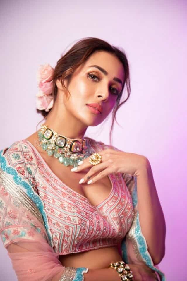 Sexy MILF Malaika Arora Picture 01