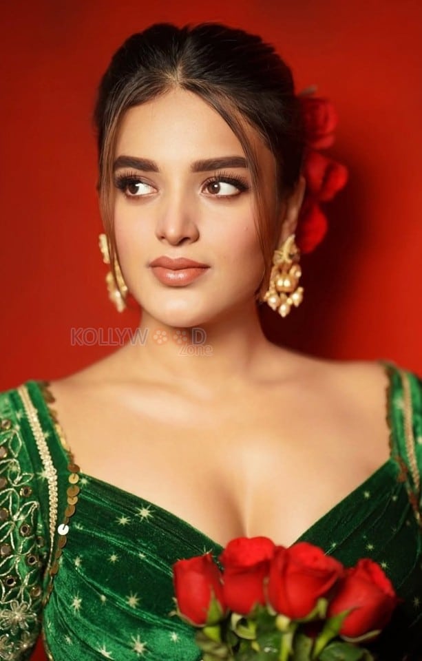 Sexy Nidhhi Agerwal in a Green Printed Velvet Sharara Set Photos 01