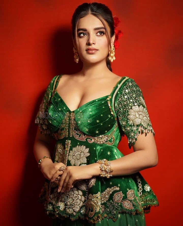 Sexy Nidhhi Agerwal in a Green Printed Velvet Sharara Set Photos 02