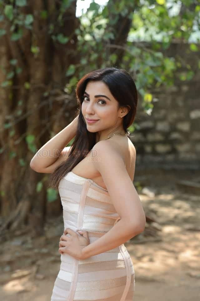 Sexy Parvati Nair at Alambana Press Meet Photos 13