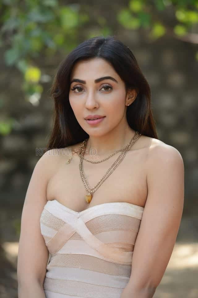 Sexy Parvati Nair at Alambana Press Meet Photos 14