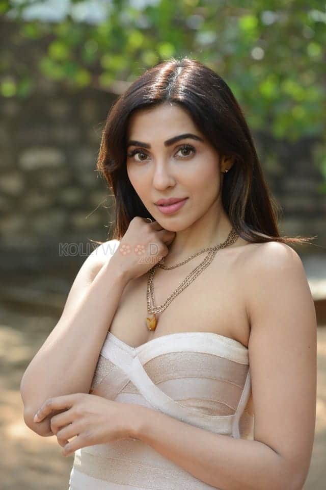 Sexy Parvati Nair at Alambana Press Meet Photos 23