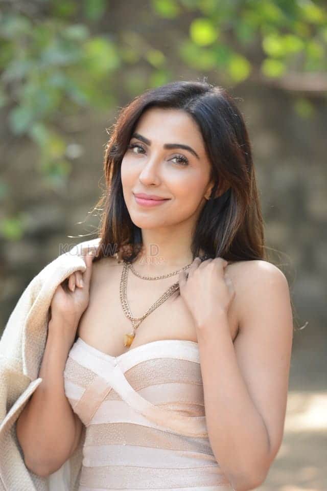 Sexy Parvati Nair at Alambana Press Meet Photos 30