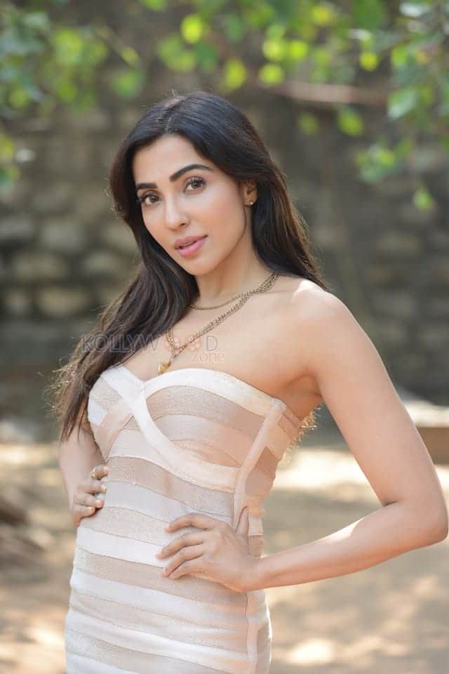 Sexy Parvati Nair at Alambana Press Meet Photos 32