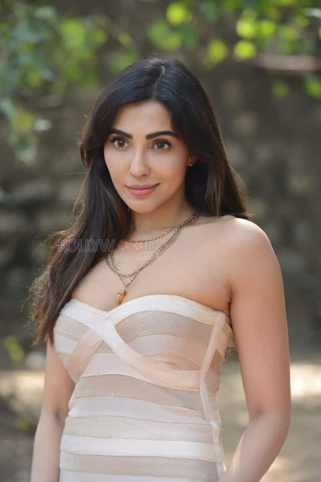 Sexy Parvati Nair at Alambana Press Meet Photos 34