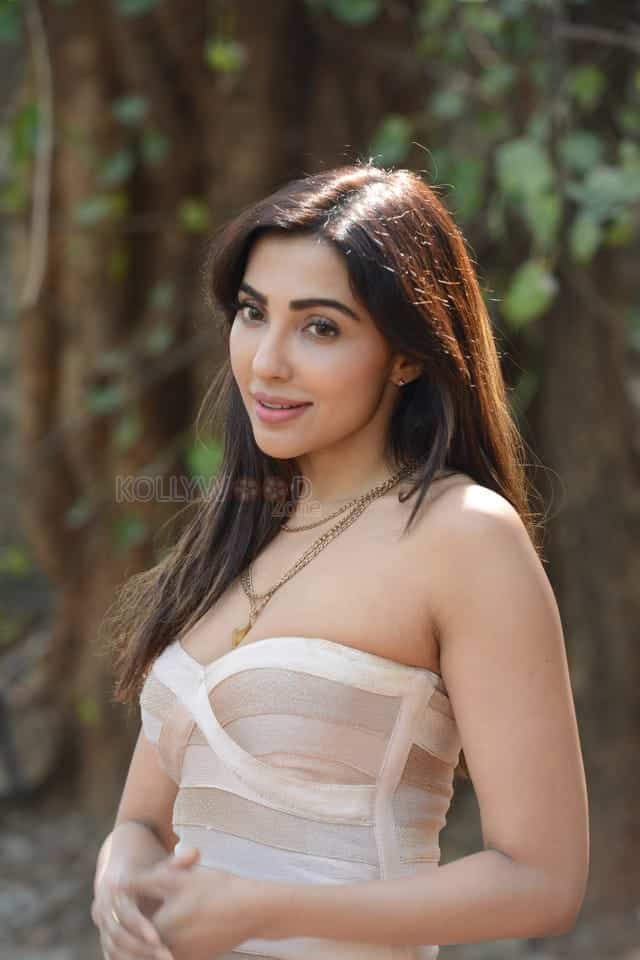 Sexy Parvati Nair at Alambana Press Meet Photos 36