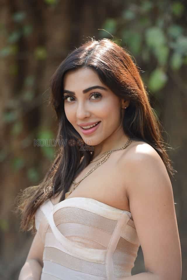 Sexy Parvati Nair at Alambana Press Meet Photos 37