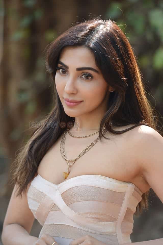 Sexy Parvati Nair at Alambana Press Meet Photos 38