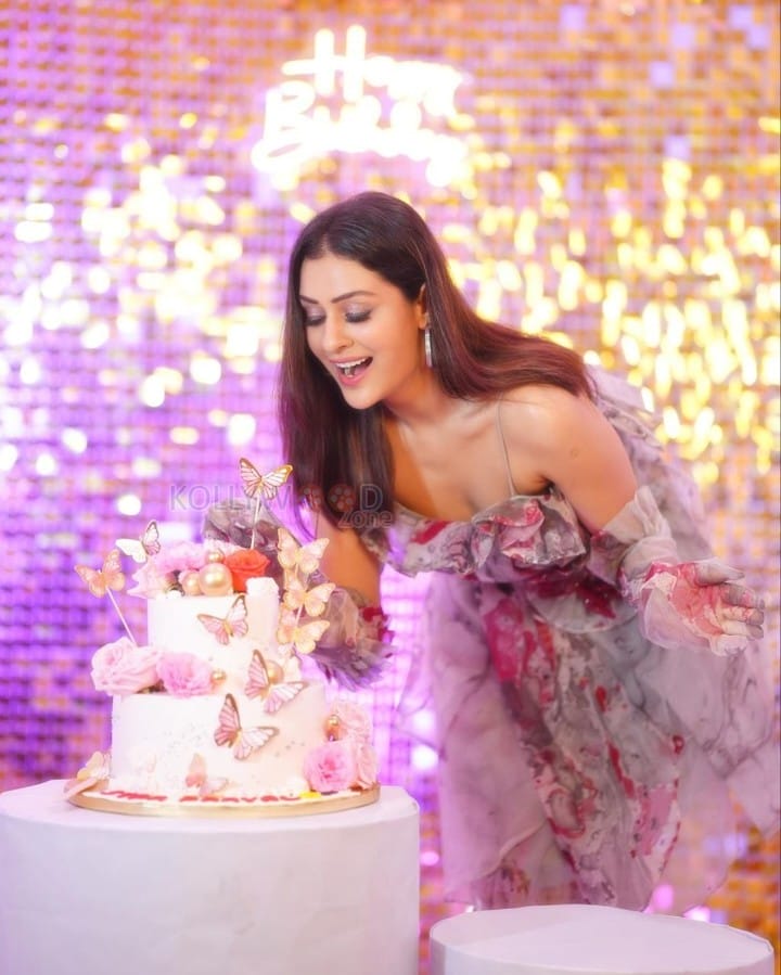 Sexy Payal Rajput Birthday Celebration Photos 04