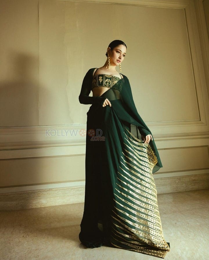 Sexy Tamannaah Bhatia in a Green and Gold Bustier Blouse and Saree Photos 01