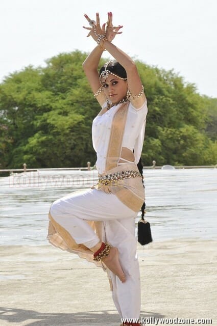 Sexy Tapsee Mogudu Movie Photos