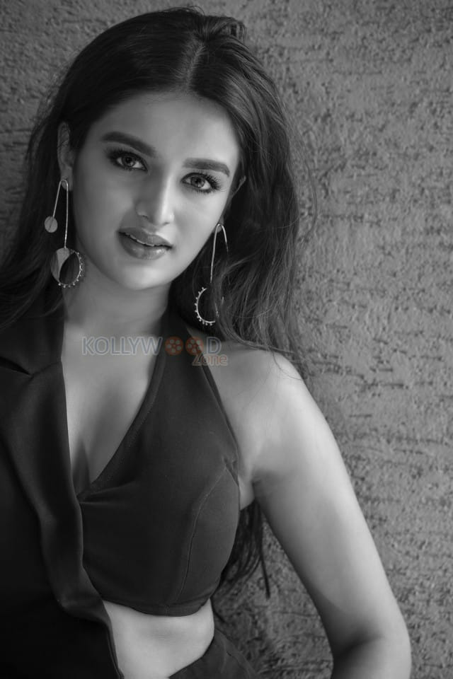 Sexy Telugu Actress Nidhhi Agerwal Photoshoot Pictures
