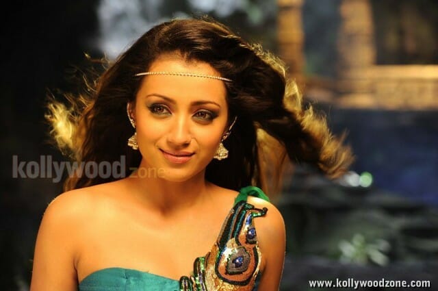 Sexy Trisha From Dammu Movie Photos