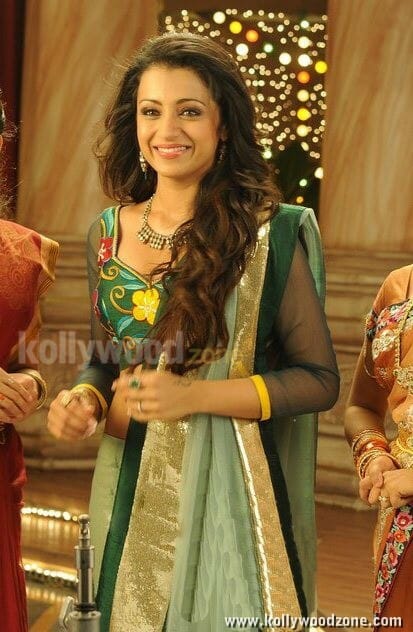Sexy Trisha From Dammu Movie Photos