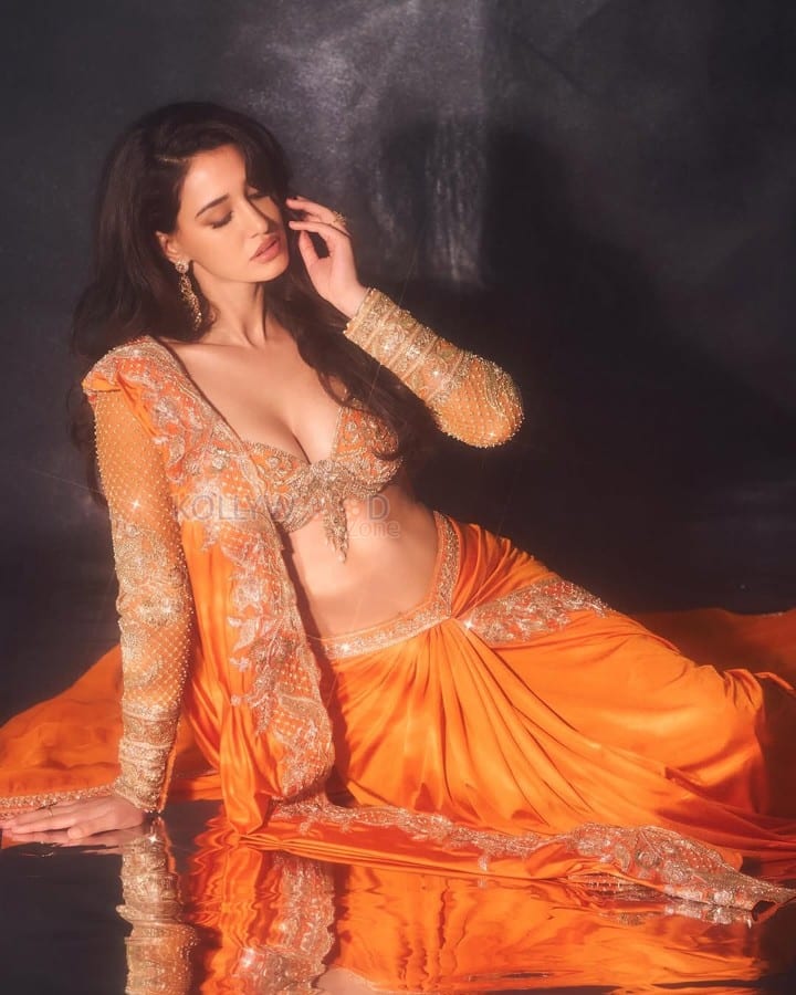Sizzling Disha Patani in an Orange Saree with a Plunging Sweetheart Neckline Blouse Pictures 05