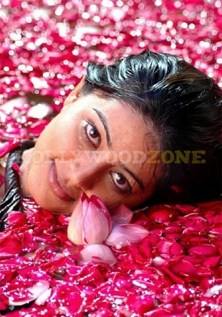 Sneha Actress Stills