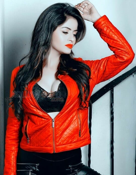 South Actress Gehana Vasisth Hot Photos