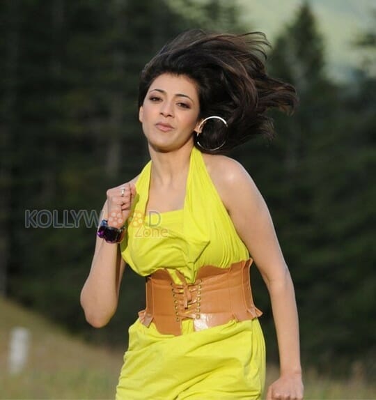 South Indian Actress Kajal Agarwal Hot Stills