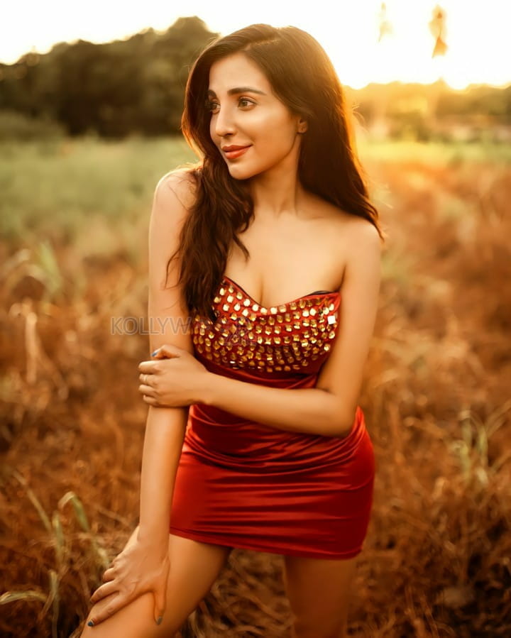 South Indian Actress Parvati Nair Photoshoot Pictures 01
