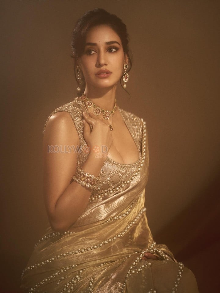 Stunning Indian Actress Disha Patani in a Gold Colored Saree with a Matching Embroidered Sleeveless Blouse Photos 05