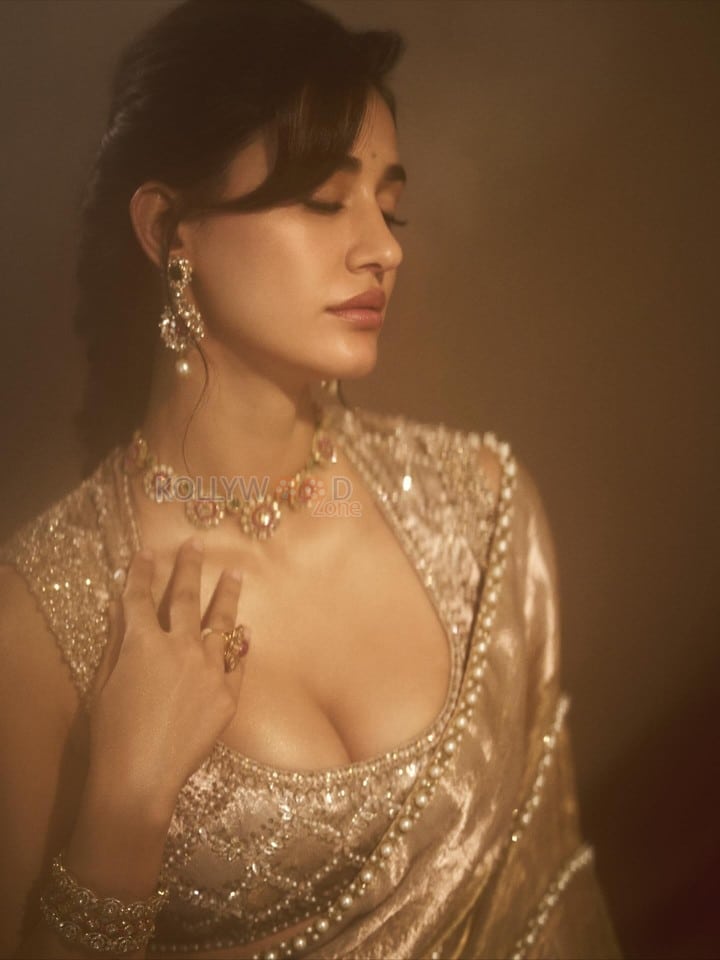 Stunning Indian Actress Disha Patani in a Gold Colored Saree with a Matching Embroidered Sleeveless Blouse Photos 08