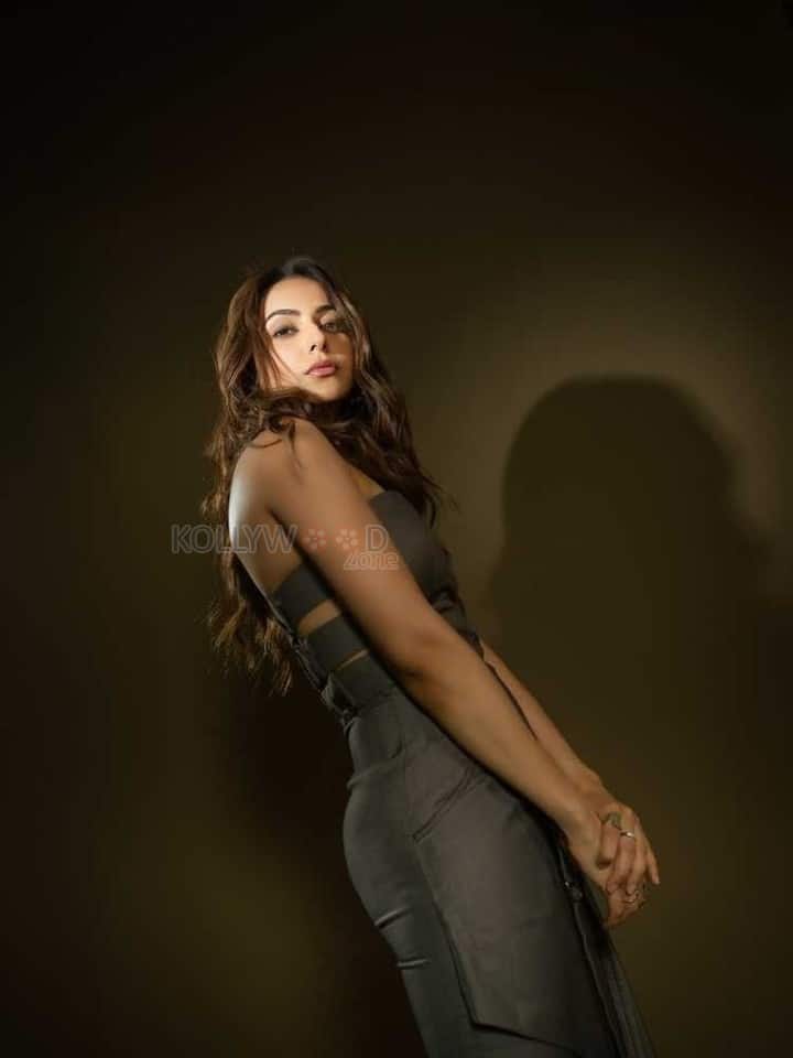 Stunning Rakul Preet Singh in a Grey Strapless Corset Top and Skirt Photos 03
