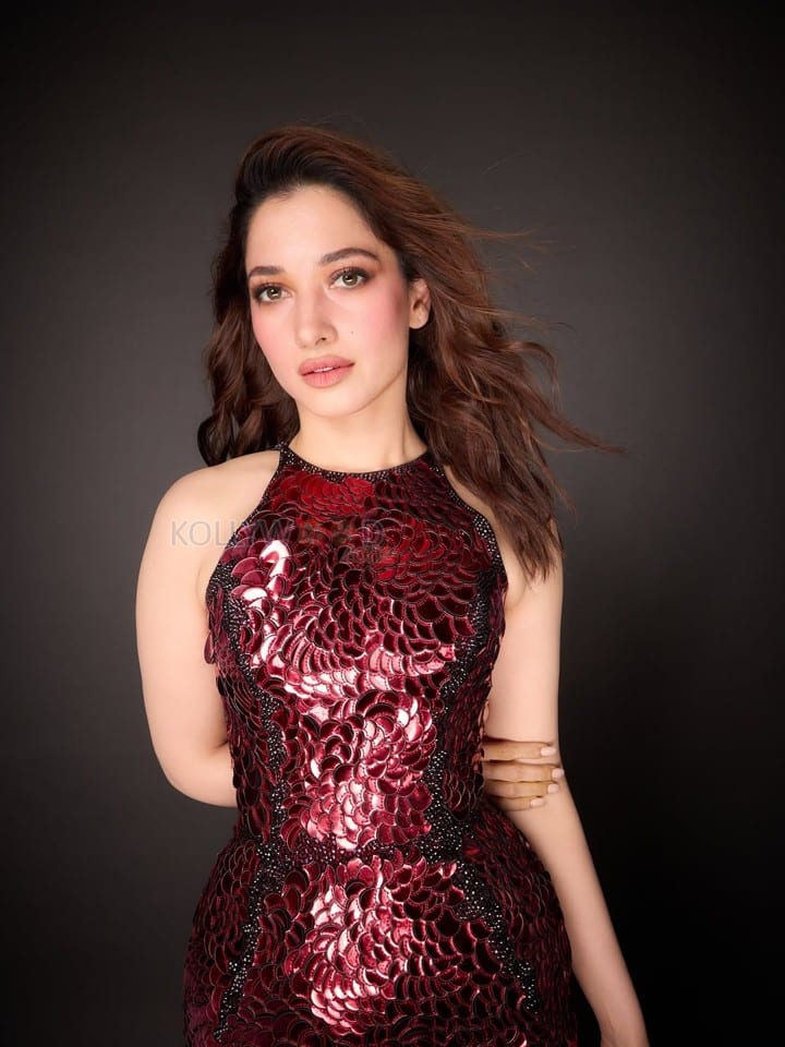 Stunning Tamannaah Bhatia in a Sleeveless Deep Wine Red Bodycon Dress Photos 03