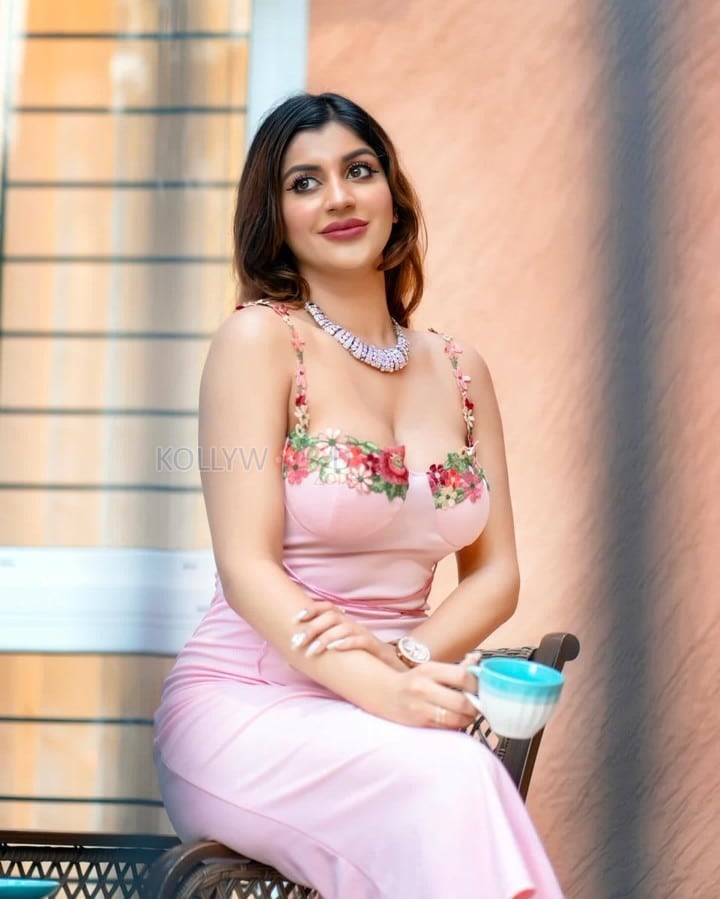 Stunning Yashika Aannand in a Pink Floral Embroidered Dress Pictures 04