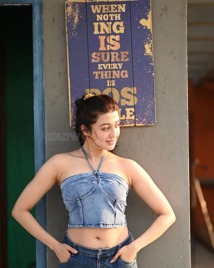 Stylish Pranitha Subhash in a Denim Crop Top Pictures 03