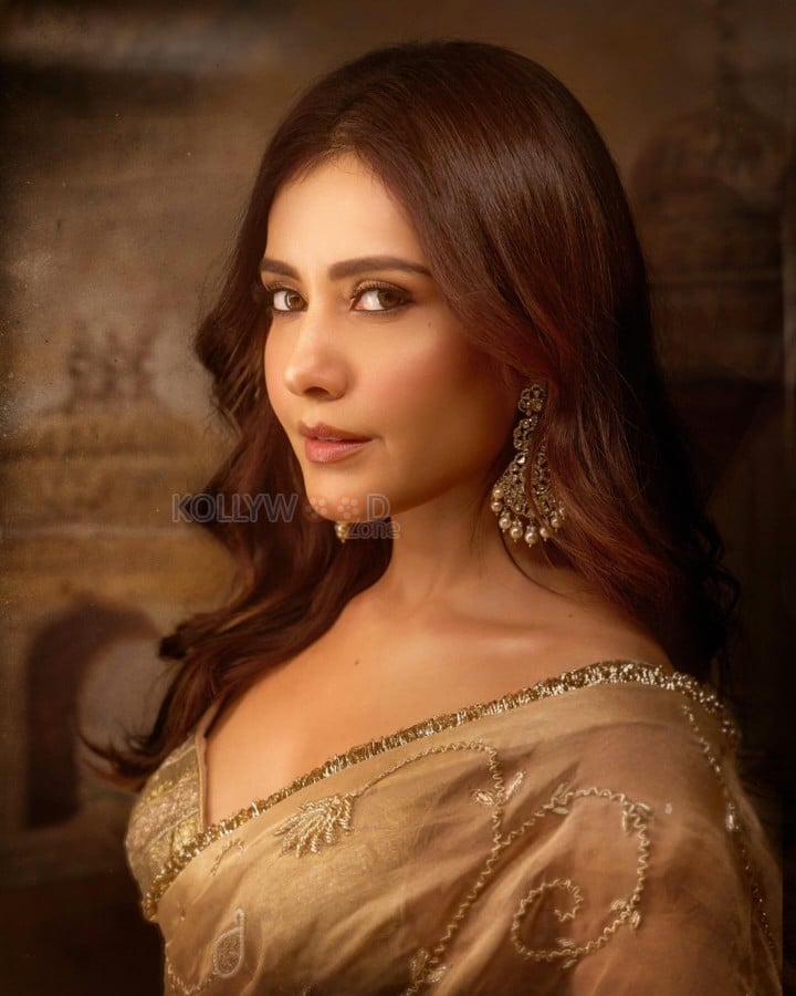 Talaakhon Mein Ek Actress Raashi Khanna in a Golden Tissue Saree with Embellished Sleeveless Blouse Photos 05