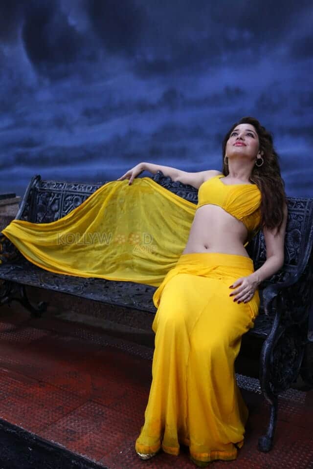 Tamanna Bhatia Sexy Pictures 11