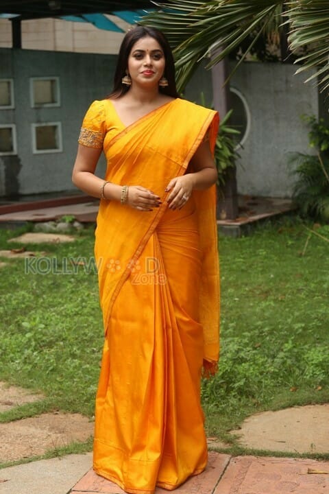 Tamil Actress Poorna Saree Photos 14 (40341) | Kollywood Zone