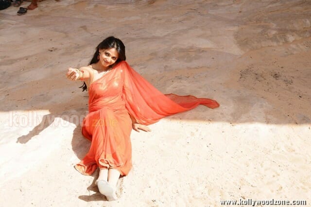 Telugu Actress Anushka Shetty Hot Pictures