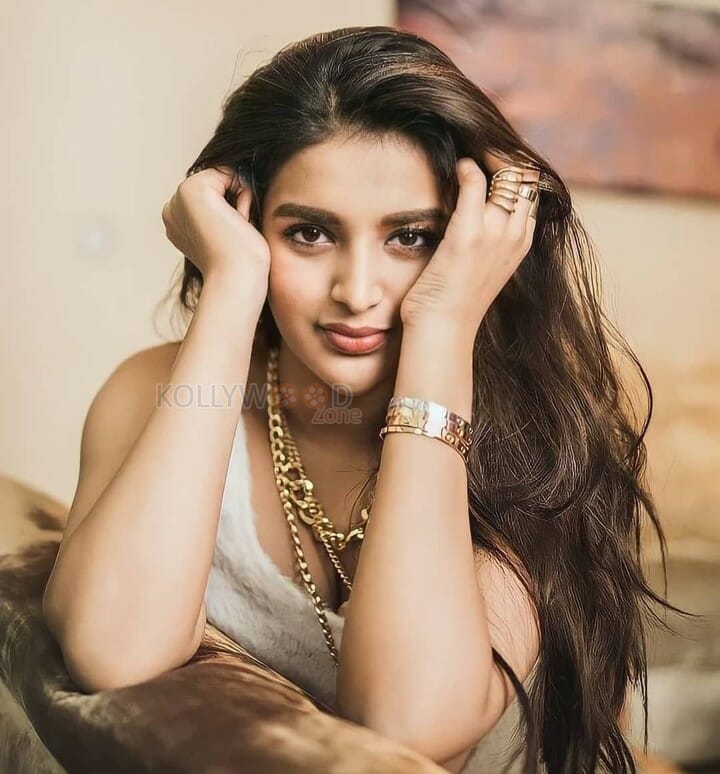 Telugu Actress Nidhhi Agerwal Hot Glamour Photos