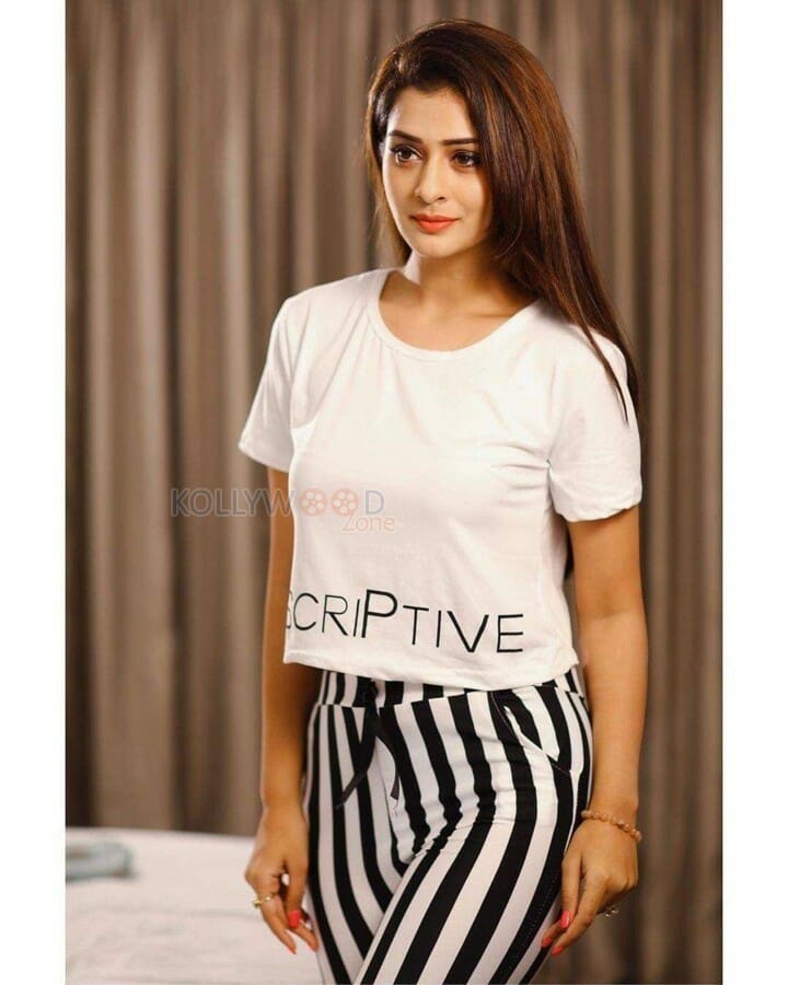 Telugu Actress Payal Rajput Sexy Photos